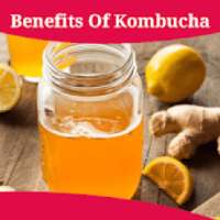 Health Benefits Of Kombucha on 9Apps