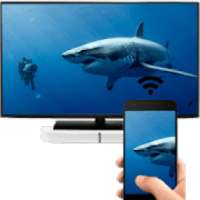 Screen Mirroring Pro TV