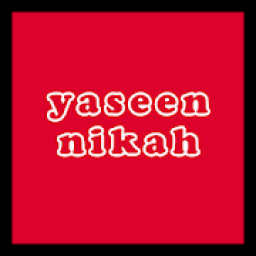 Yaseen Demo icon