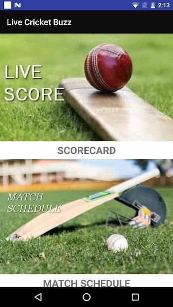 Live Cricket Buzz स्क्रीनशॉट 6