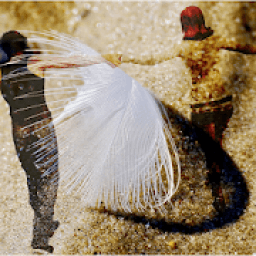 imágenes de amor con frases bonitas de amor icon