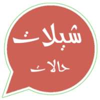شيلات حالات واتس - فيديو بدون انترنت on 9Apps
