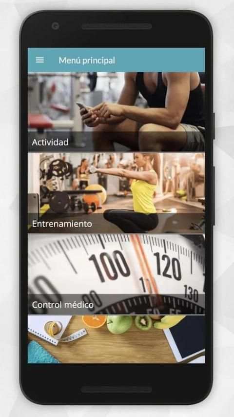 VICKING screenshot 4