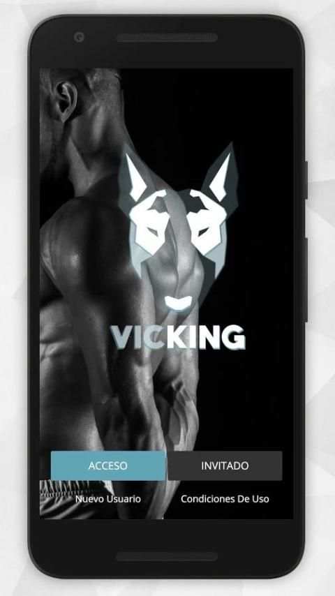 VICKING screenshot 5