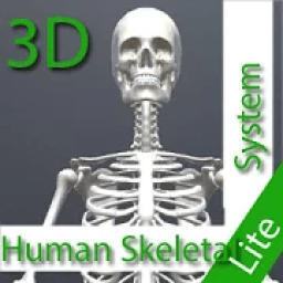 ikon Human Skeletal System 3D