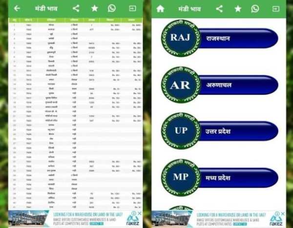 सभी मण्डियों के भाव (All Mandi Bhav/Rates) screenshot 4