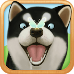 ikon Dog Sweetie Run