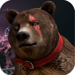 Brutal Panda Fighter icon