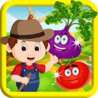 Vegetable Farm Splash Mania