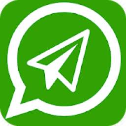 Direct WhatsApp Send 2.0