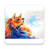 Mozerella Firefox Browser - Fast Speed Browser