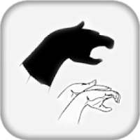 Hand Shadow
