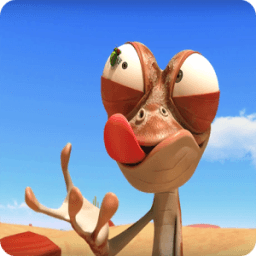 ikon Oscar Oasis Video Collection