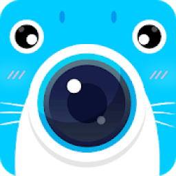 Seals Camera: Know You Best icon