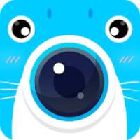 Seals Camera: Know You Best on 9Apps