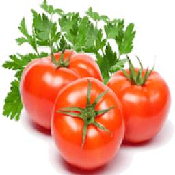Tomato-IFC
