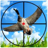 Bird Hunter : Sniper Duck Hunting Season War logo