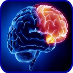Neurology Basics