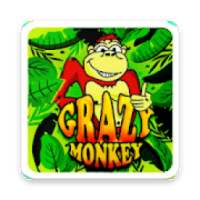 Crazy Monkey