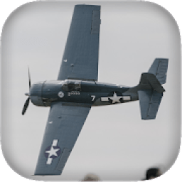 ikon Airplane Fighters Combat