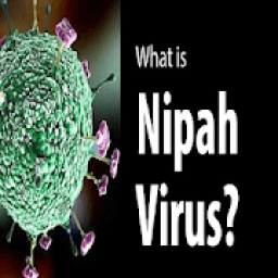 ikon Nipah Virus