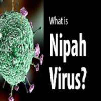 Nipah Virus