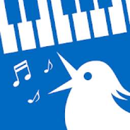 Singing Lessons for Parakeets 3
