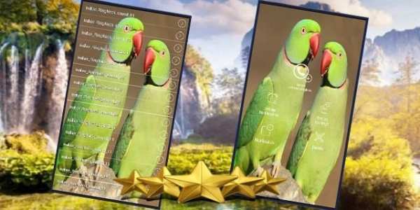 Parrot Sounds : Indian Ringneck Parakeet Sound स्क्रीनशॉट 1