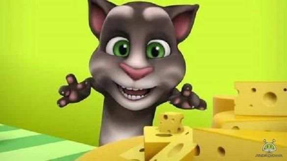 My Talking Tom Wallpapers screenshot 1