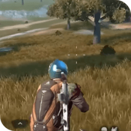 ikon Guide Rules Of Survival