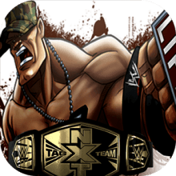 ikon WWE 2K 18 :FIGHTING STREETS