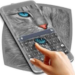 Perfect New Cat Keyboard 2018