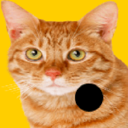 ikon Ball Bouce (Beta)