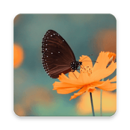 ikon Blur Image Background