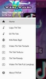 Best Tik Tok Lagu dan Video screenshot 7
