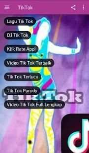 Best Tik Tok Lagu dan Video screenshot 6