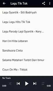 Best Tik Tok Lagu dan Video screenshot 5