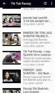 Best Tik Tok Lagu dan Video screenshot 2