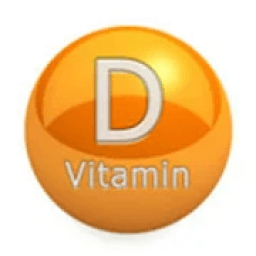 ikon Vitamin D Foods
