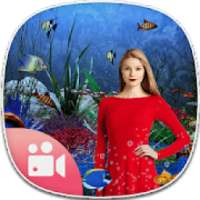 Live Aquarium Video Photo Background Editor