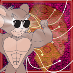 Tom chasing Jerry : Mysterious adventure Game icon