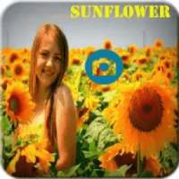 Sunflower Latest Photo Frames Editor App