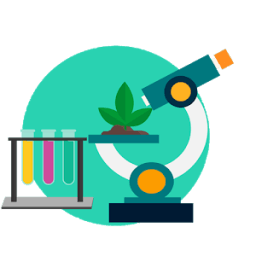 Biologie Végétale S2 icon