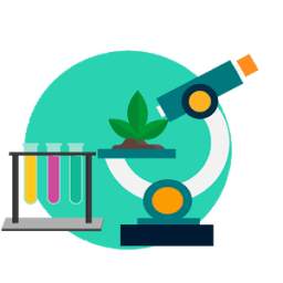 Biologie Végétale S2 2.4.2