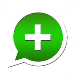 What Status Story icon