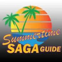ikon Summertime saga guide