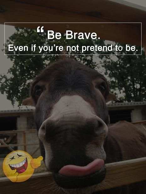 Funny Quotes - Free 2017 Quotes screenshot 1