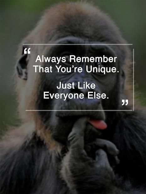 Funny Quotes - Free 2017 Quotes screenshot 3