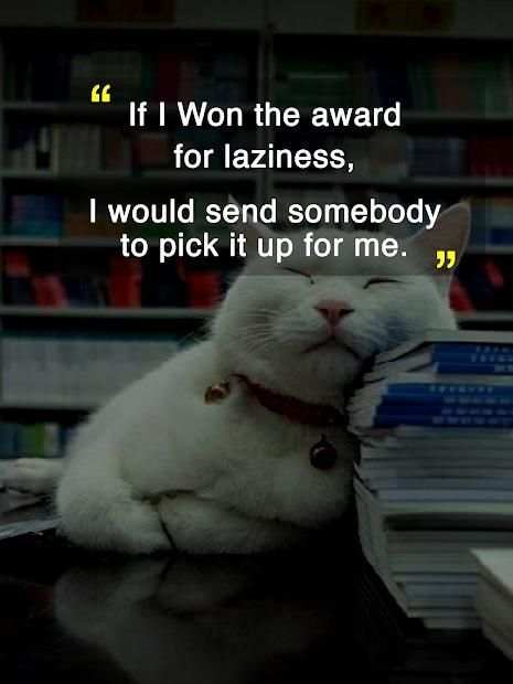 Funny Quotes - Free 2017 Quotes screenshot 2