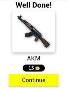 Name The PUBG Quiz screenshot 11